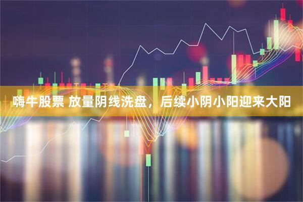 嗨牛股票 放量阴线洗盘，后续小阴小阳迎来大阳
