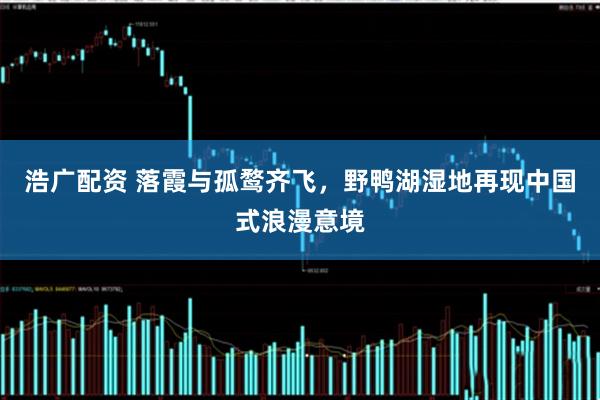 浩广配资 落霞与孤鹜齐飞，野鸭湖湿地再现中国式浪漫意境