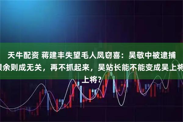 天牛配资 蒋建丰失望毛人凤窃喜：吴敬中被逮捕跟余则成无关，再不抓起来，吴站长能不能变成吴上将？