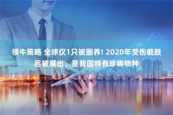 领牛策略 全球仅1只被圈养! 2020年受伤截肢后被展出，是我国特有珍稀物种